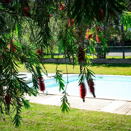 Rural Quinta Do Juncal Alojamento de Turismo Rural