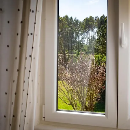 Rural Quinta Do Juncal